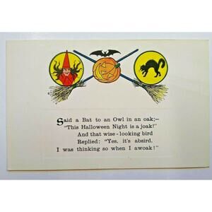 Halloween Postcard Gibson Said A Bat To An Owl Poem Witch Broom Black Cat Unused